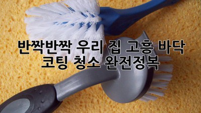 ✨ 반짝반짝 우리 집! 고흥 바닥 코팅 청소 완전정복 ✨
